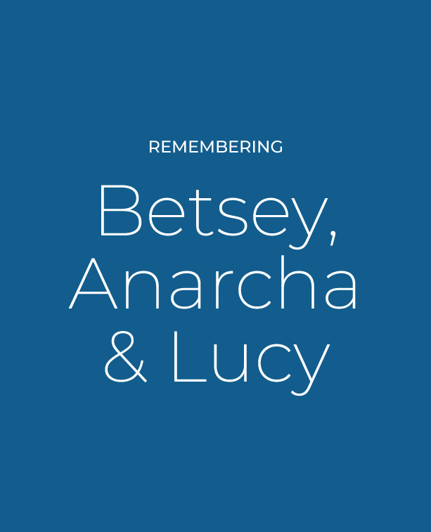 The Bestey, Anarcha & Lucy scholarship